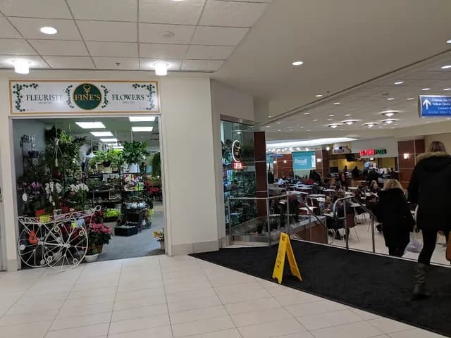 Minto Place level one