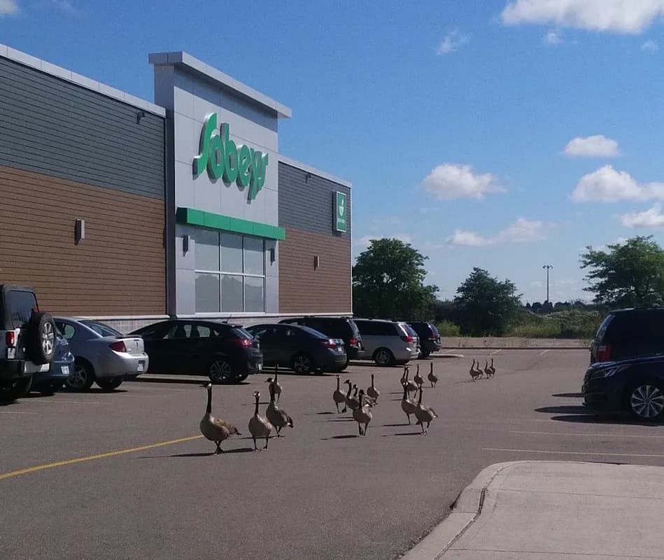 Northfield Centre Business Building