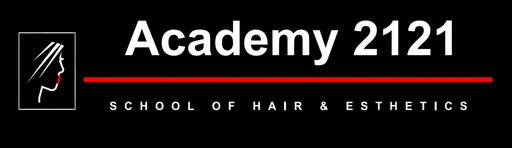 Academy 2121 logo