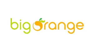 Big Orange logo