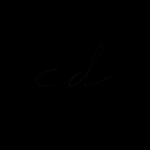 CD Extensions logo