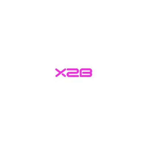 Chaussures X2b logo