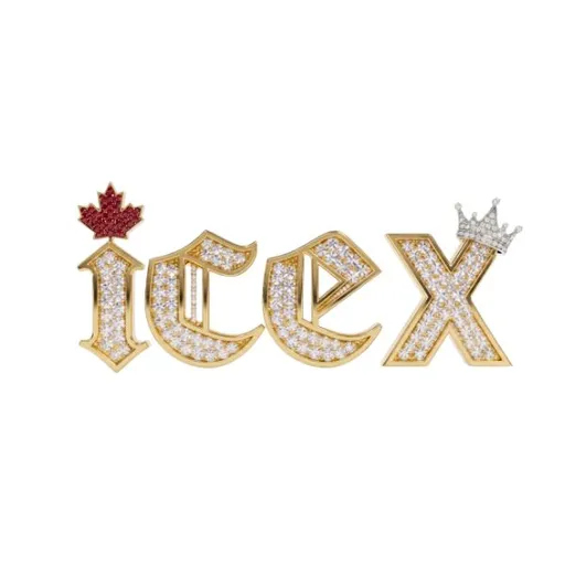 iceX logo