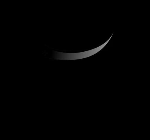 R U Smiling logo