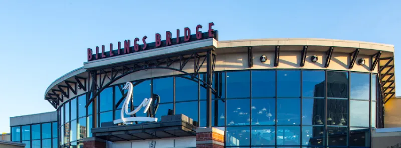 Billings Bridge Shopping Centre