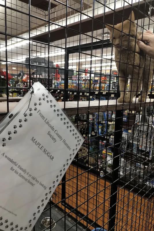 Fonthill Shopping Centre