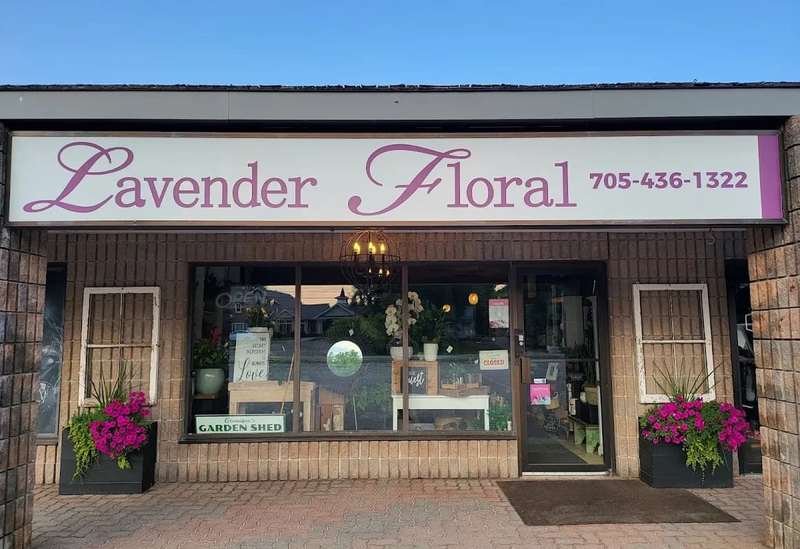 Innisfil Shopping Plaza