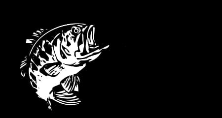 Bass Pro Shops Outdoor World logo