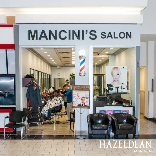 Mancini Hair Studio logo