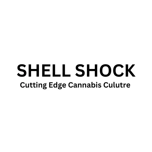 Shell Shock logo