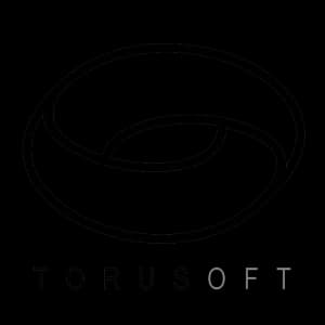 Torusoft IT Consulting & Development Ltd. logo