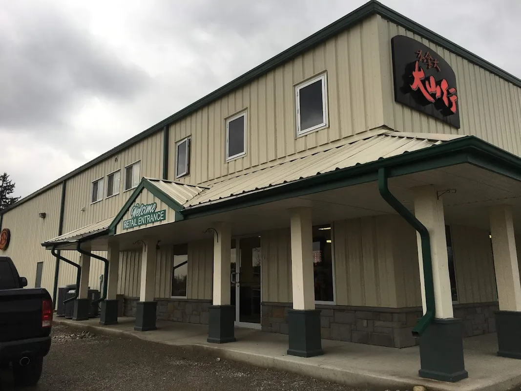 Great Mountain Ginseng