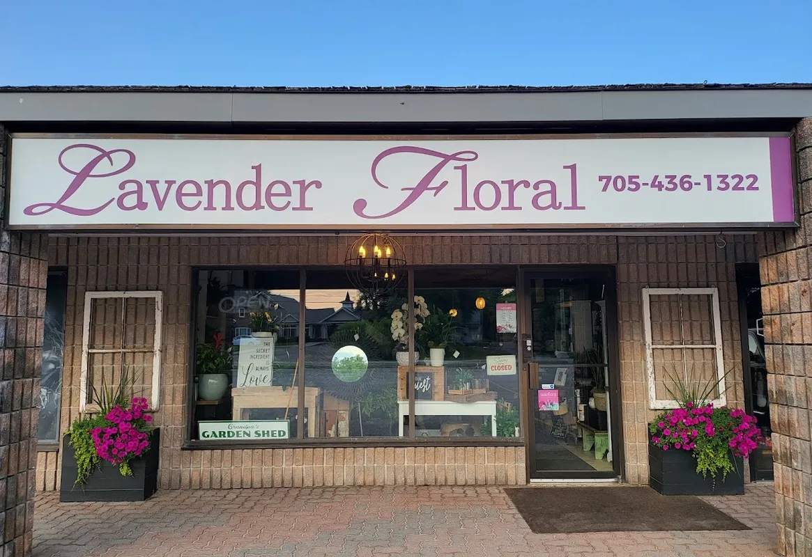 Innisfil Shopping Plaza