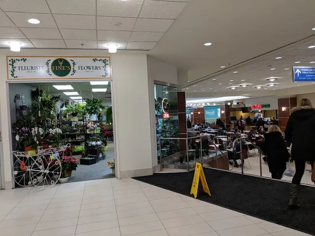 Minto Place level one