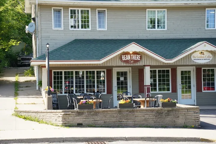 The Golden Collar - Grooming And Supplies